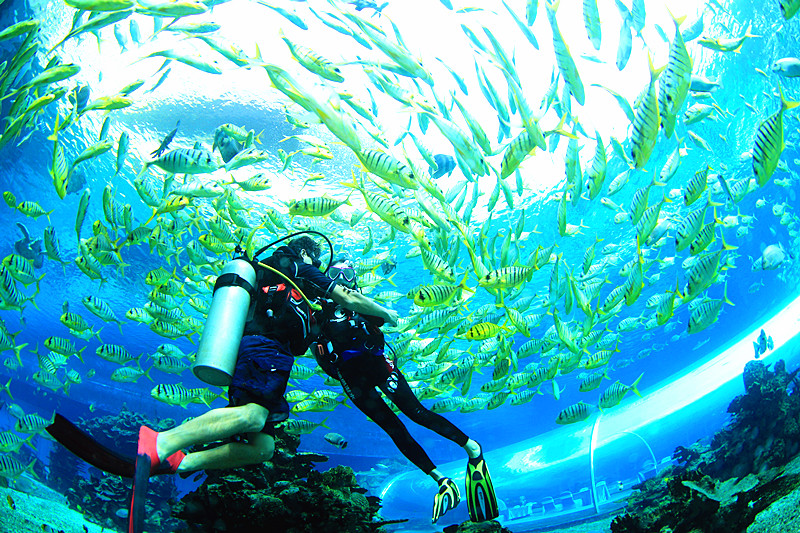 七個學習潛水的理由