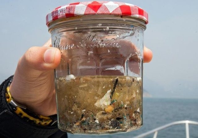 如果知道海洋中的塑料垃圾會(huì)進(jìn)入人類(lèi)肚子，你還會(huì)丟嗎？