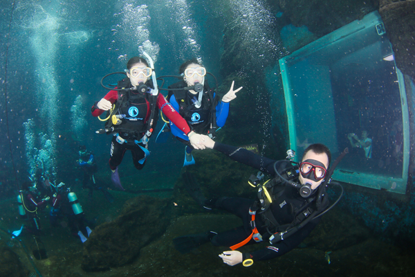 12/12正式上線！PADI 最新課程【休閑潛水員Resort Diver】 丨 一天拿證，潛遍全球