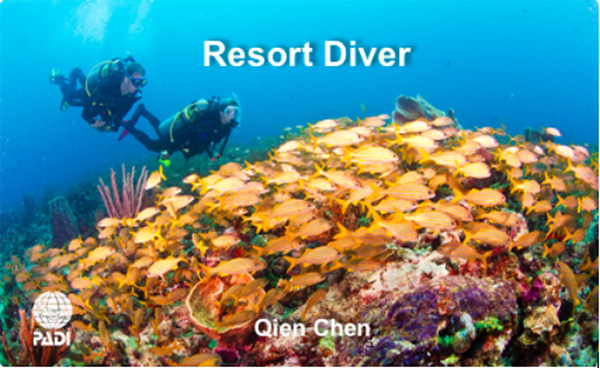 12/12正式上線！PADI 最新課程【休閑潛水員Resort Diver】 丨 一天拿證，潛遍全球
