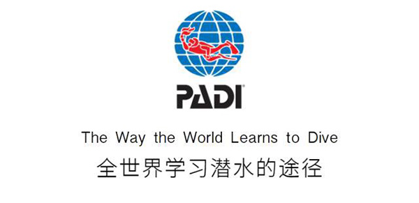 12/12正式上線！PADI 最新課程【休閑潛水員Resort Diver】 丨 一天拿證，潛遍全球