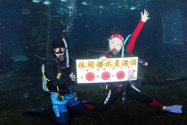 12/12正式上線！PADI 最新課程【休閑潛水員Resort Diver】 丨 一天拿證，潛遍全球