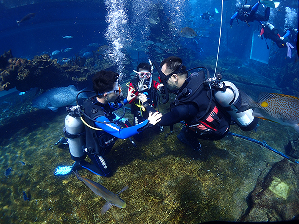12/12正式上線！PADI 最新課程【休閑潛水員Resort Diver】 丨 一天拿證，潛遍全球