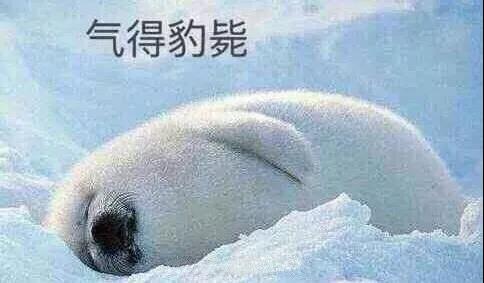 原來你是這樣的潛水員妹子！